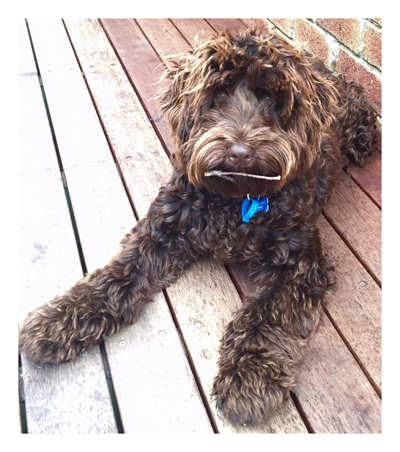Charlie is 7 mths